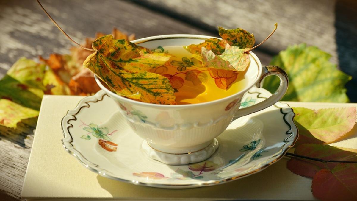 ceaiuri-toamna-5-retete_77455700