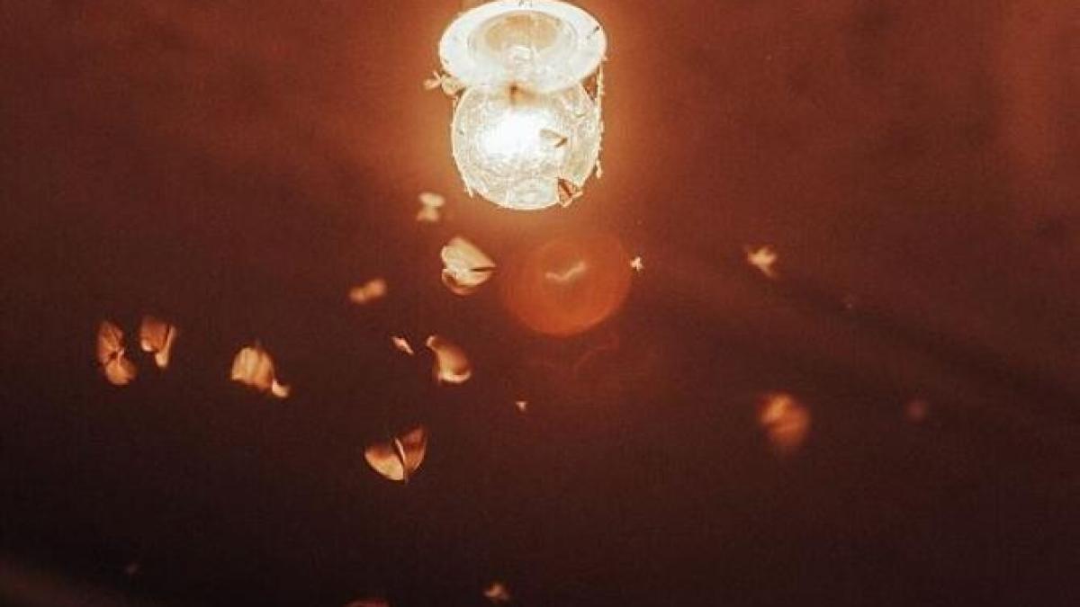 elimina-pentru-totdeauna-moliile-din-casa-si-bucatarie--urmeaza-acesti-pasi-si-uita-de-insectele-enervante_84142200