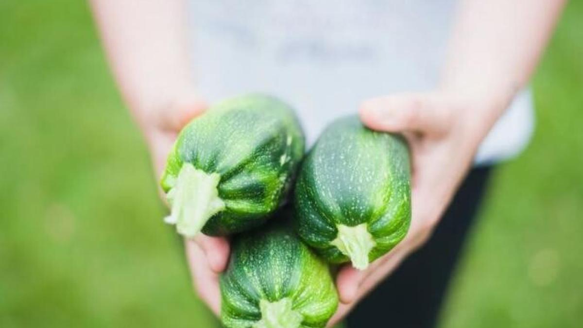 pune-dovleceii-intr-o-punga--condimenteaza-i-si-aperitivul-e-gata--au-90-de-calorii-si-sunt-senzationali_18684000