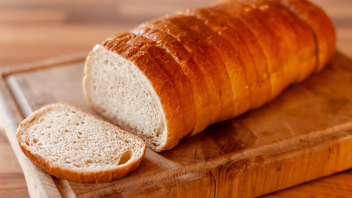 paine-feliata-pericol_42712100