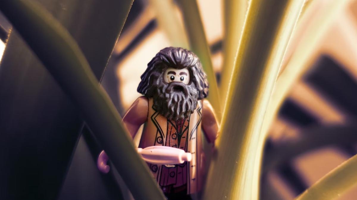 a-murit-actorul-care-l-a-interpretat-pe-hagrid_39052800