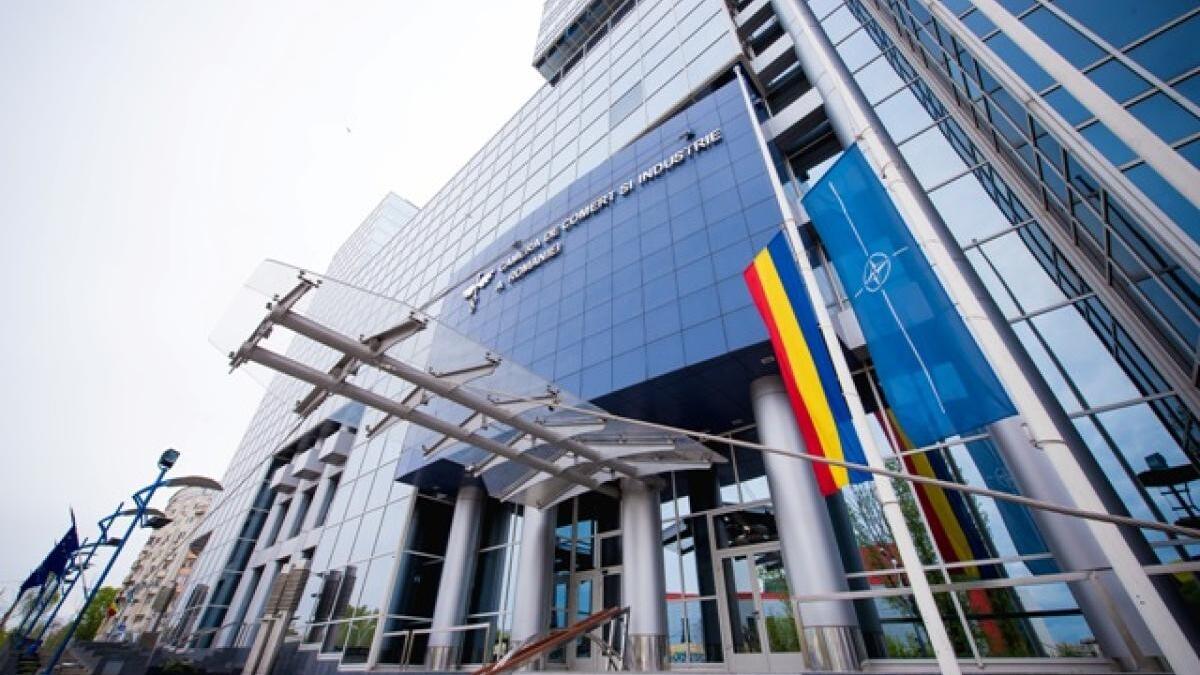 forma-in-care-au-fost-adoptate-modificarile-la-legea-camerelor-de-comert-este-profund-neconstitutionala-iubcci_65477700