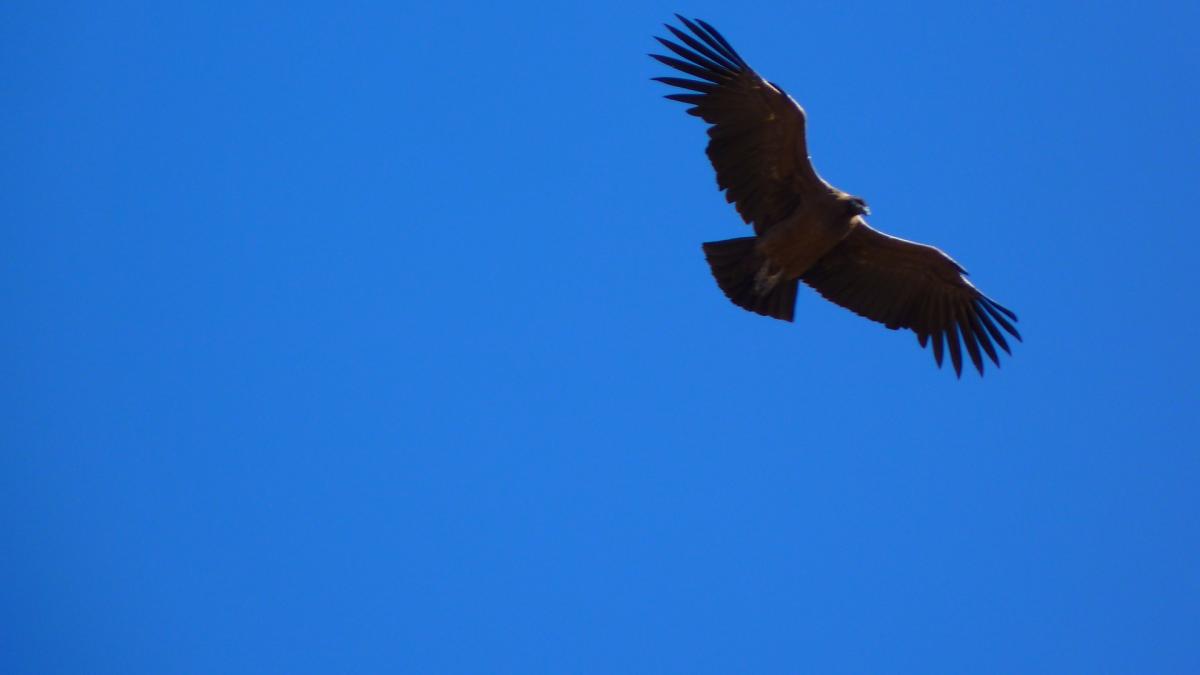 azi-in-lume_16811500