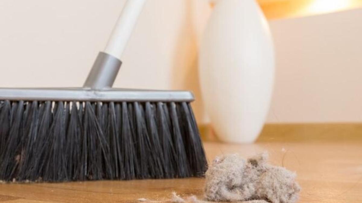 indeparteaza-rapid-praful-de-pe-mobila_11298700