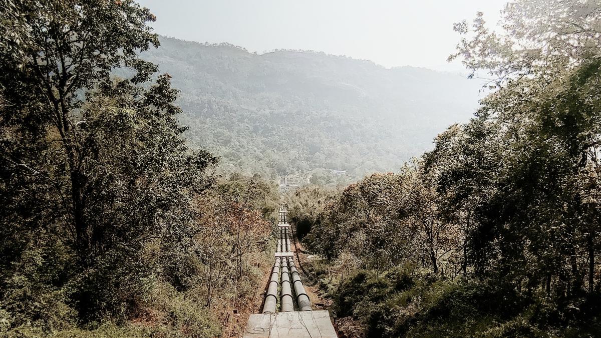 conducta_gaze_spania_franta_pxl_43660800