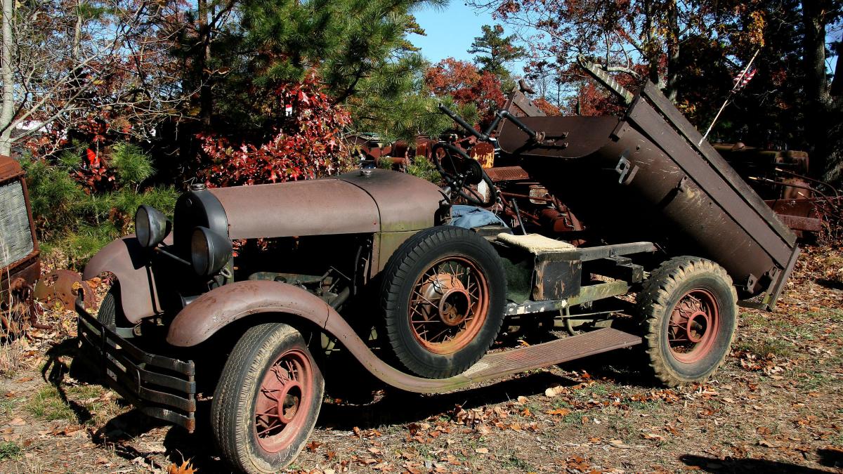 au-gasit-o-intreaga-masina-ingropata-in-curtea-pe-care-o-decorau--arhitectii--socati-de-intamplare-video_36873800