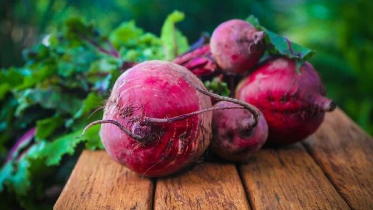 nu-aruncati-apa-in-care-ati-fiert-sfecla--transformati-o-in-ingrasamant-pentru-flori_29425100