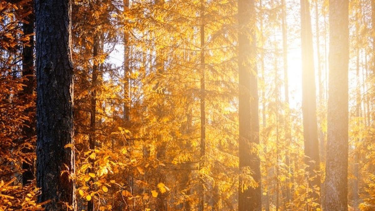 vremea-noiembrie_96164300