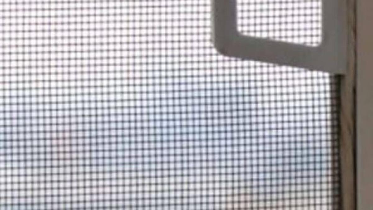 doua-ingrediente--pe-care-le-aveti-in-casa--sunt-suficiente-pentru-a-curata-plasele-de-la-geamuri-1_85213200