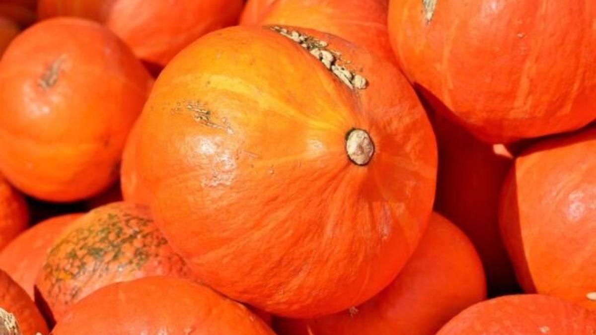 nu-aruncati-cojile-de-dovleac--pregatiti-niste-fursecuri-delicioase-de-ciocolata_30662300