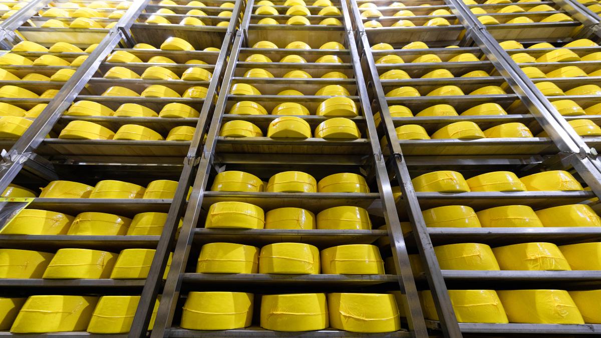 branza-alpi_74634200