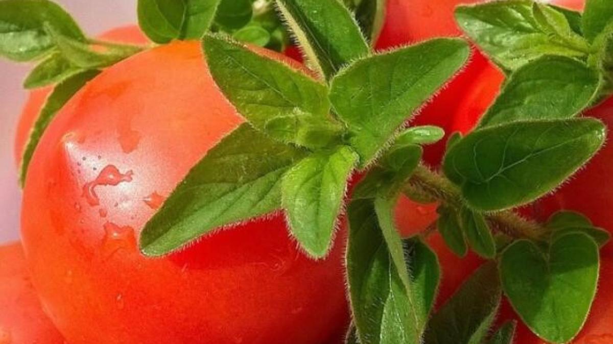 ketchup-cu-curry--o-reteta-usoara-de-a-l-pregati-acasa-din-rosii-proaspete-si-coapte_01372300