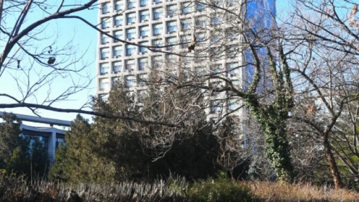 tvr_scandal_gunoaie_ager_29660700