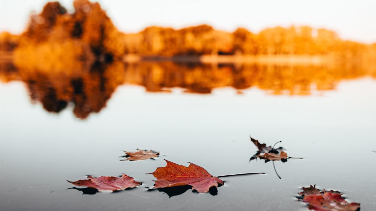 mirela-polifronie-cea-mai-buna-zona-a-tarii-pentru-turism_02174100