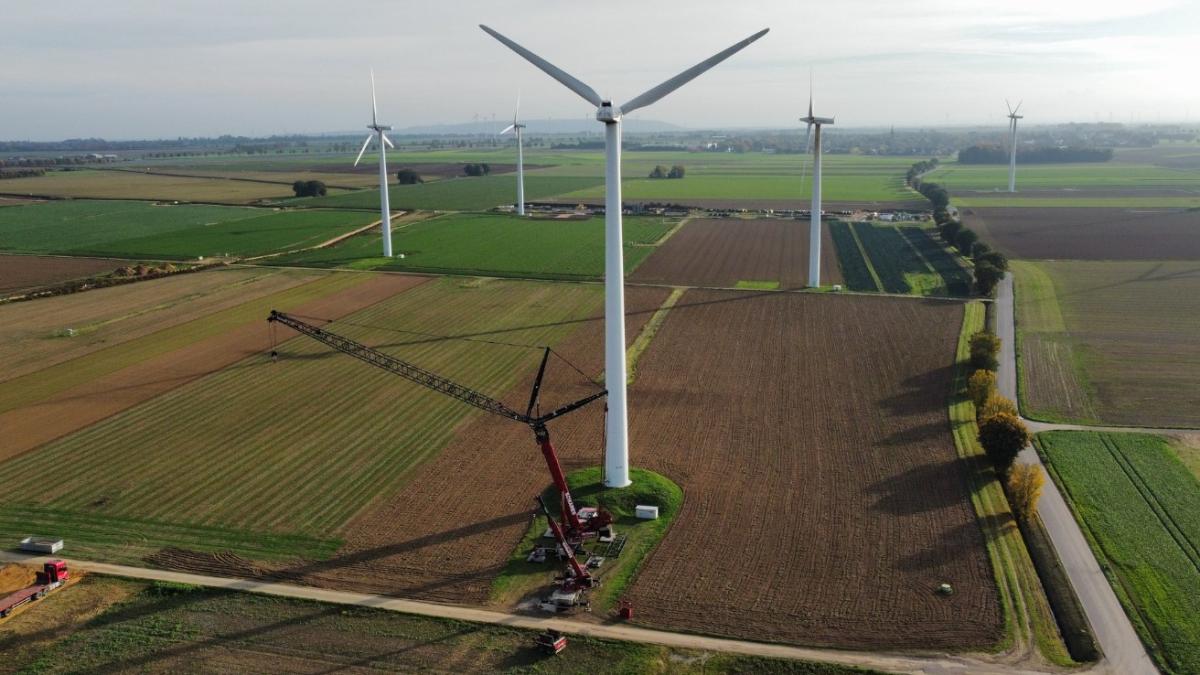 germania-ferma-eoliana_78446600