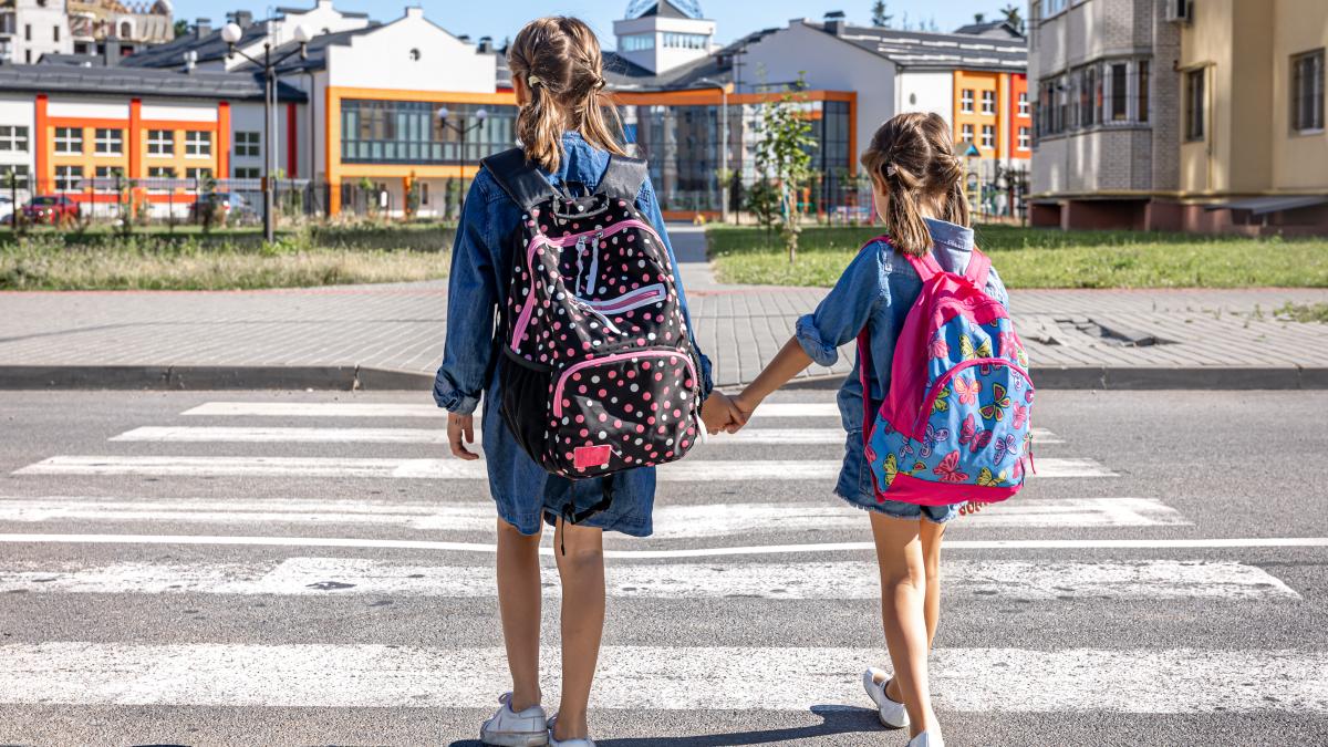 la-scoala-pe-jos_32092000