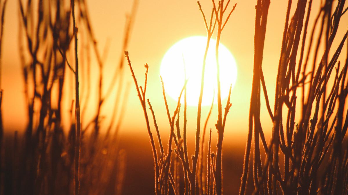 nasa-a-imortalizat-zmabetul-soarelui_99419100