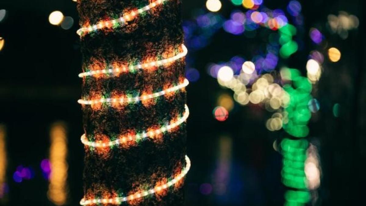 vreme_iarna_foto_pexels_99884200