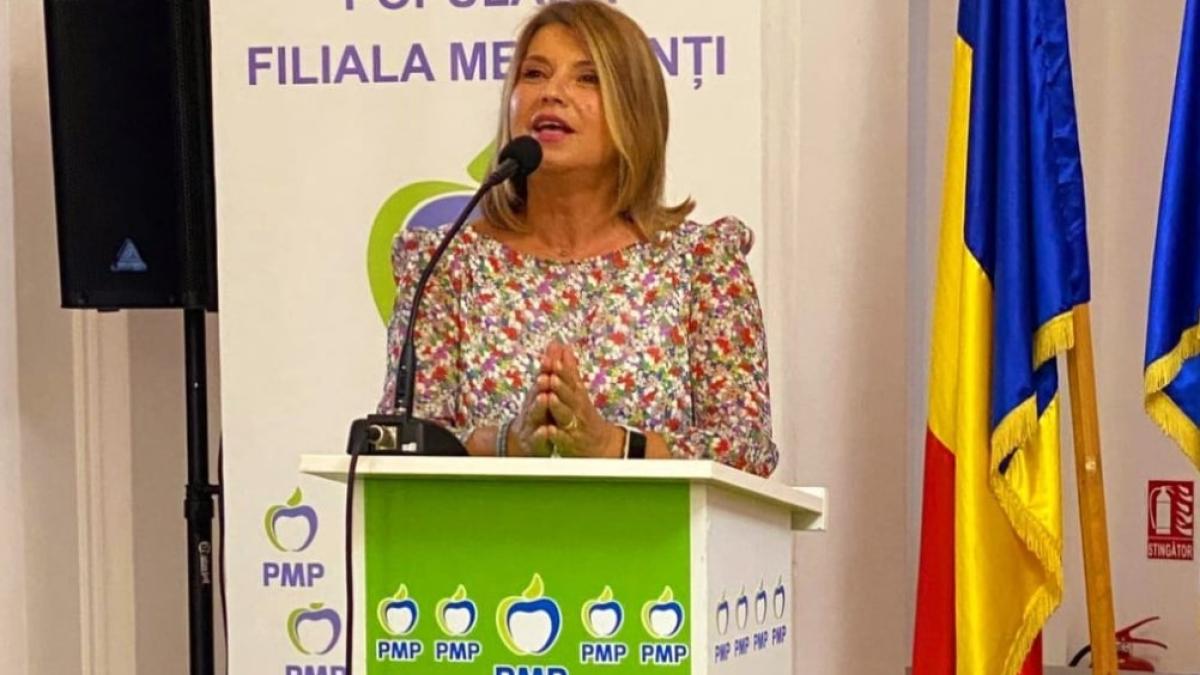 pmp-se-pregateste-pentru-anul-revansei--anisoara-stanculescu-votantii-de-dreapta-trebuie-sa-aiba-o-alternativa-in-2024_83818100