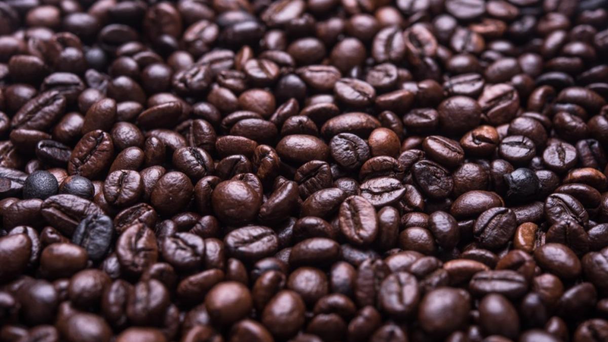 slow-coffee-festival-2022--evenimentul-perfect-pentru-iubitorii-de-cafea_70015000