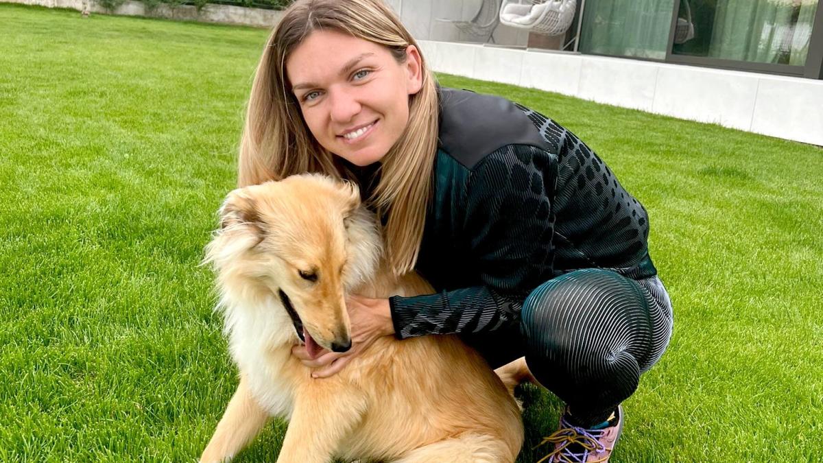 simona_halep_tenis_sara_errani_fb_42522100