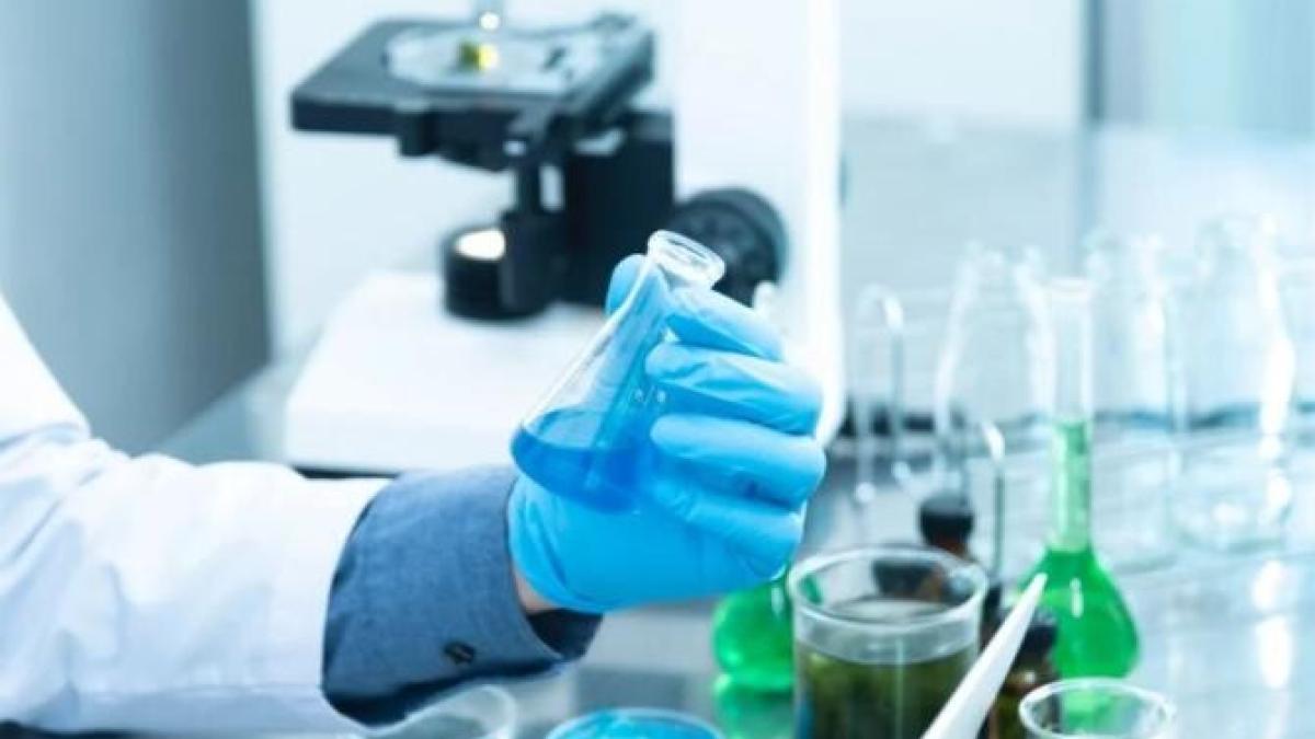 ancheta--finalizata-in-alba--suspiciunea-de-botulism--infirmata-si-de-analizele-efectuate-de-catre-specialistii-sanitar-veterinari_34663200