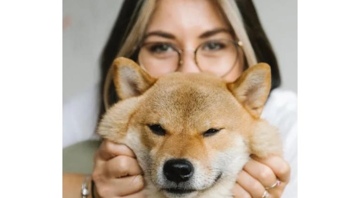 catel_imbratisare_foto_pexels_13479900