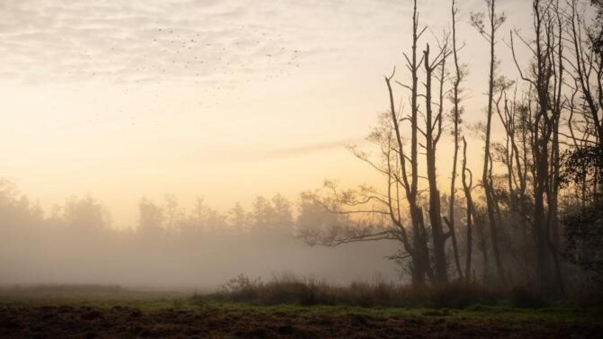 vreme_noiembrie_foto_pexels_52234300