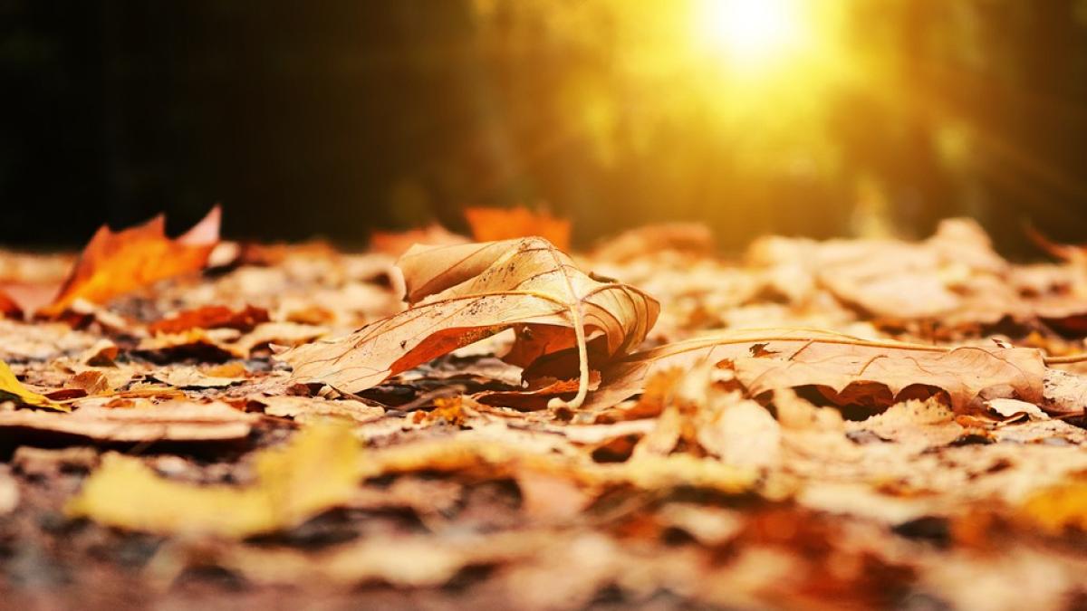 canicula-toamna-cat-va-dura_77049900