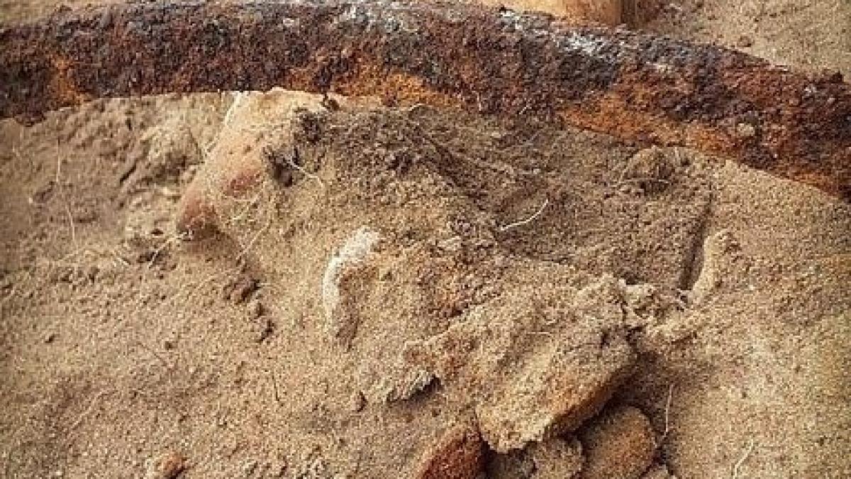 femeie-vampir_33509900