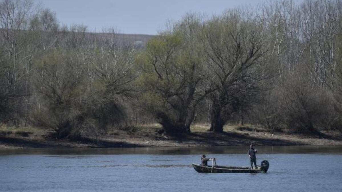 situatia-este-dezastruoasa--delta-dunarii--la-un-pas-de-a-se-transforma-in-mlastina-sau-uscat-50prc--cel-putin-este-afectata_06806900