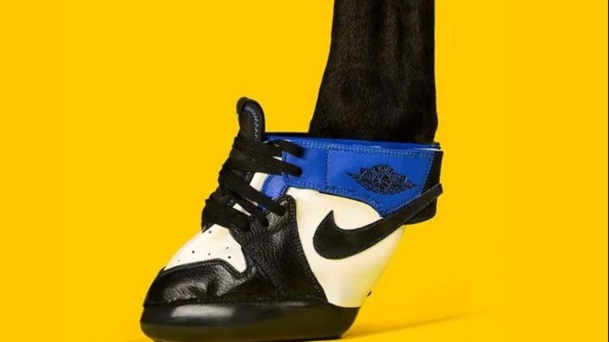 adidasi-cai_80755600