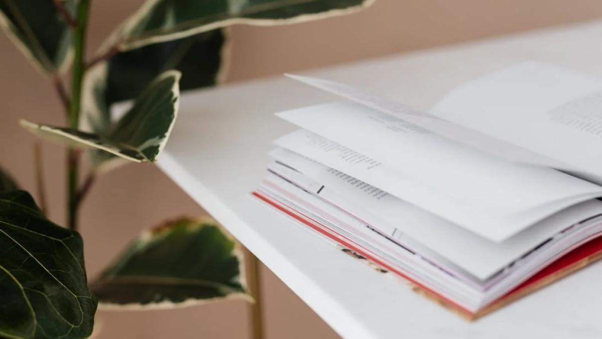 plante_in_casa_foto_pexels_32219600