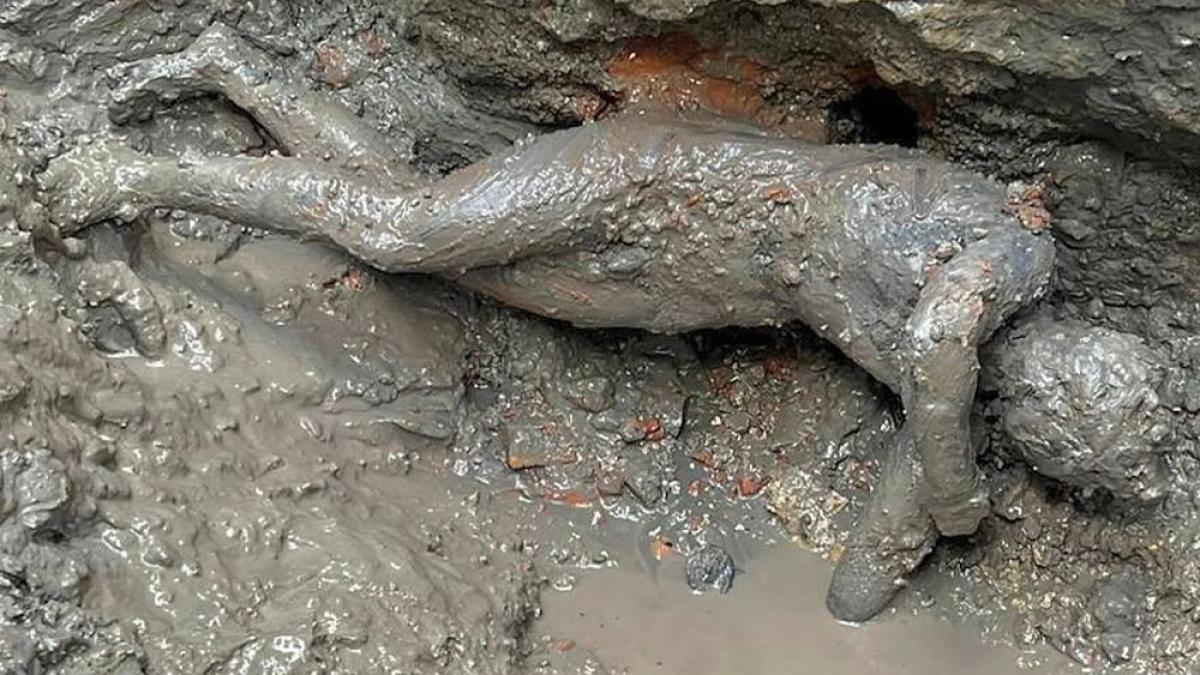 statui-romane-din-bronz--vechi-de-2300-de-ani--i-au-uimit-pe-istorici-cu-starea-lor-de-conservare-2_05033600