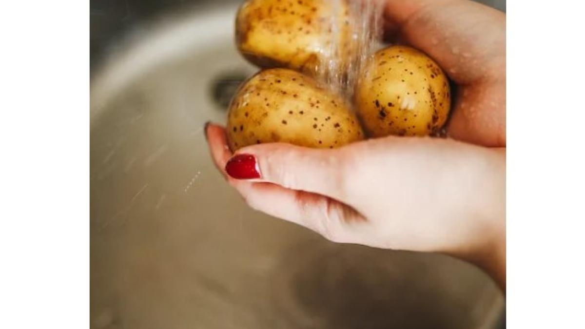 cartofi_foto_pexels_04849000