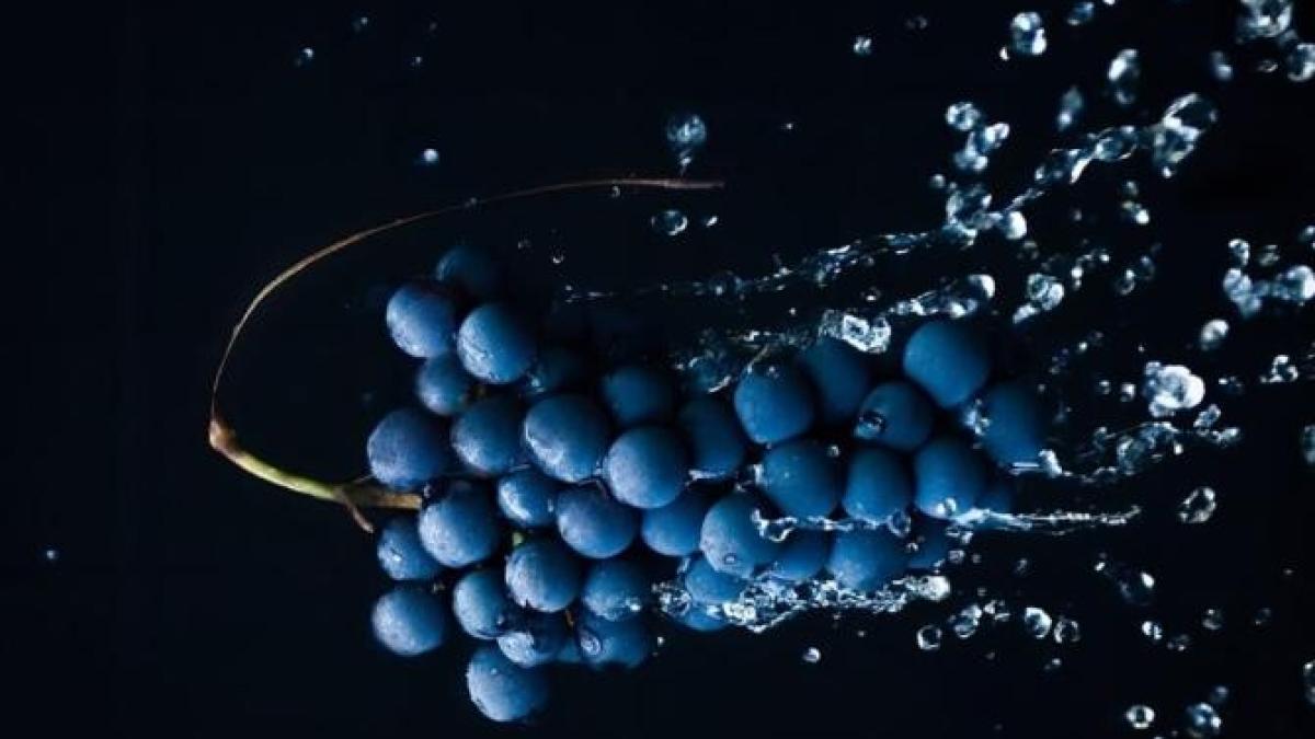 mustar-de-struguri--reteta-fara-zahar-a-desertului-sicilian--care-miroase-a-toamna_27494900