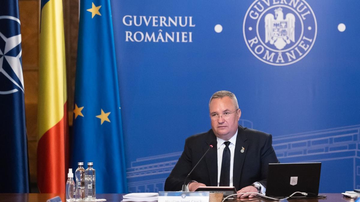 ciuca-lege-lemne-ordonanta_67004800