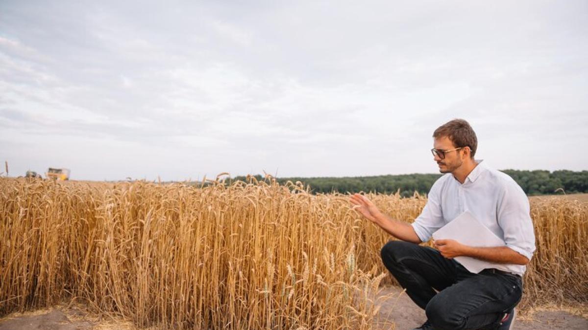 seceta-fermieri_78591400