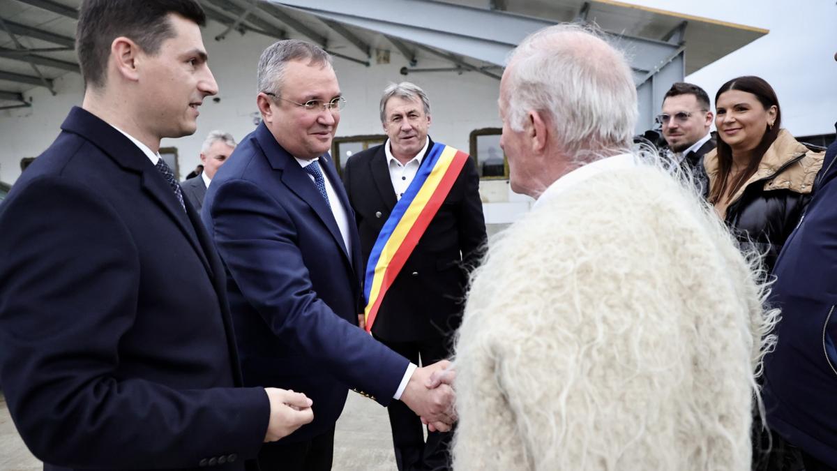 nicolae-ciuca_24711900