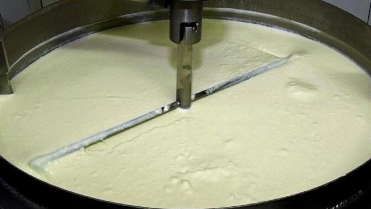 cel-mai-bun-mod-de-a-consuma-iaurtul-daca-vrei-sa-slabesti--nimeni-nu-ti-a-spus-acest-lucru-pana-acum_73969000