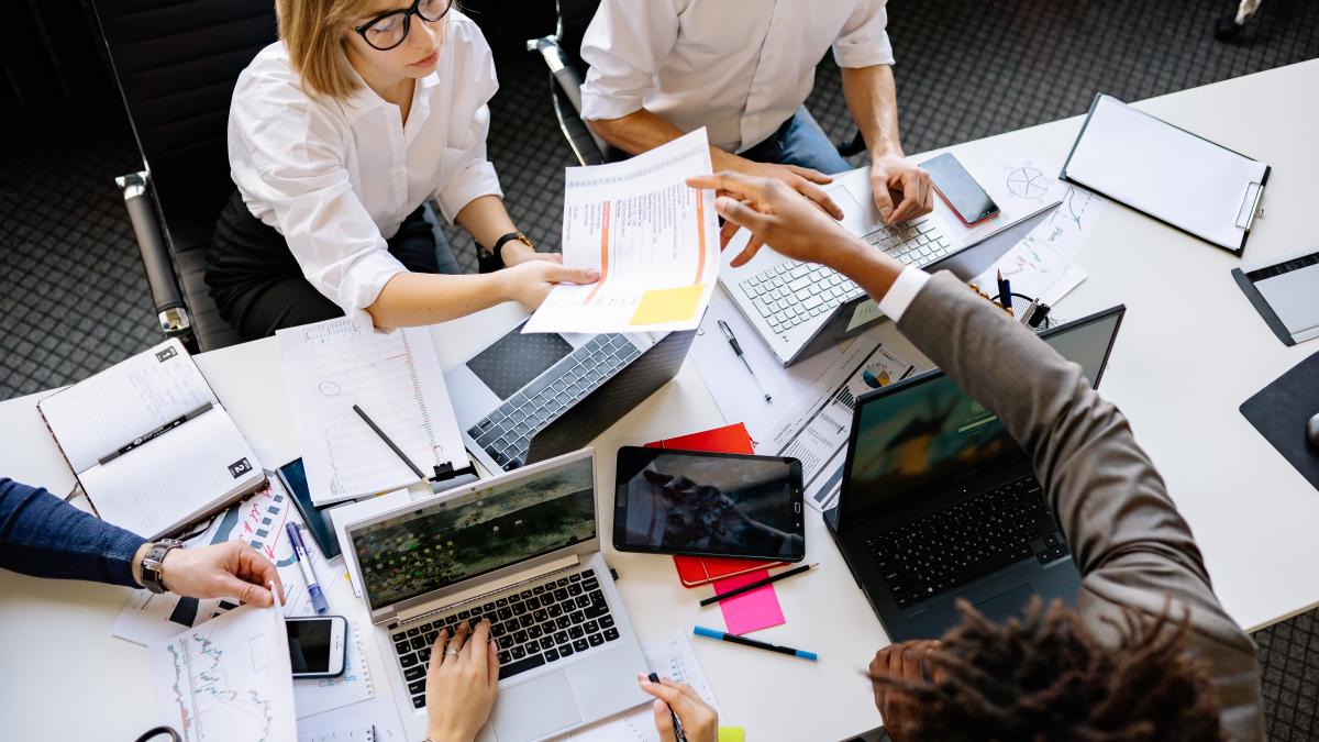 conditia-pusa-de-ue-romaniei--in-2004--privind-birocratia--gusa-sunt-50prc--in-plus-angajati-la-stat----este-tara-lui-papura-voda_77310300