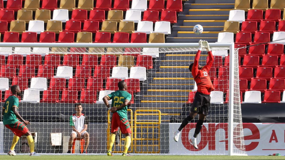 fotbal_senegal_fifa_world_cup_57059100