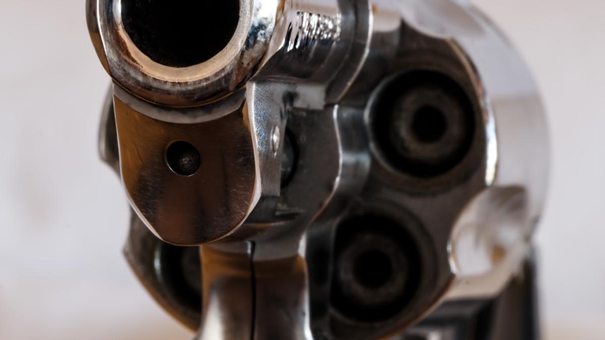 pexels-pixabay-53351_39912800