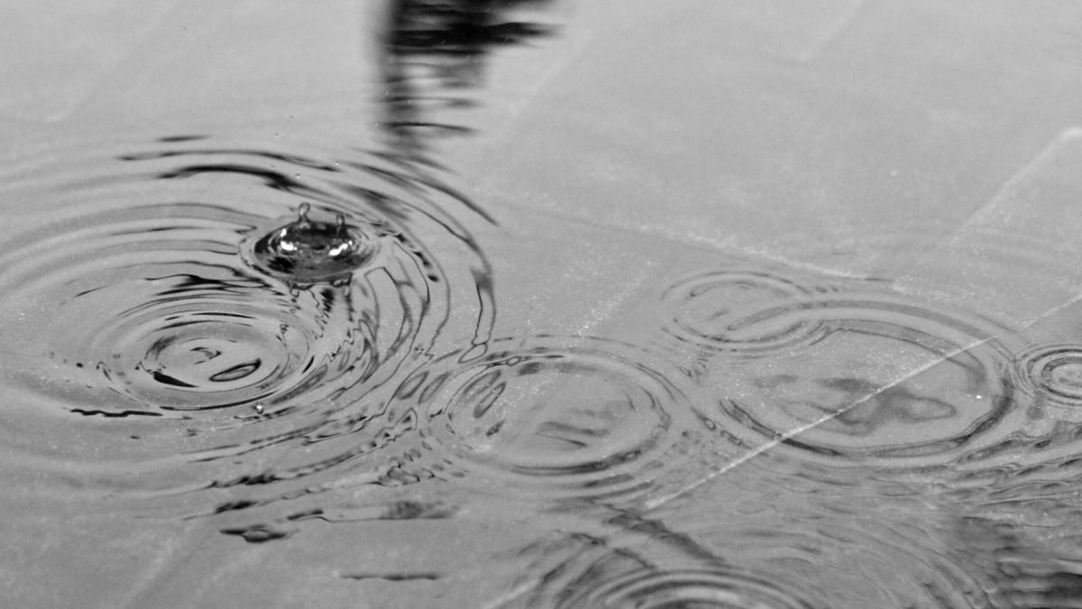 nicusor-dan-ii-asteapta-pe-impatimitii-de-fotbal-in-ploaie-in-piata-constitutiei-sa-urmareasca-cm-2022_94365100