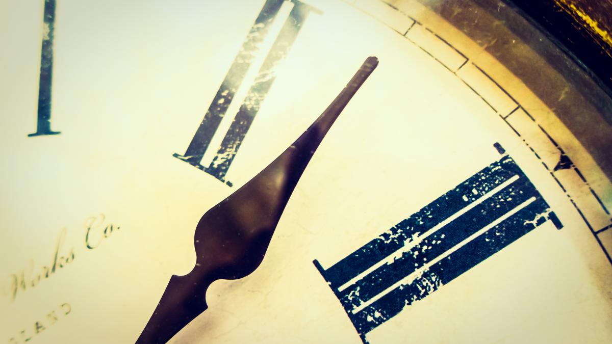 secunda-in-plusd_80918400