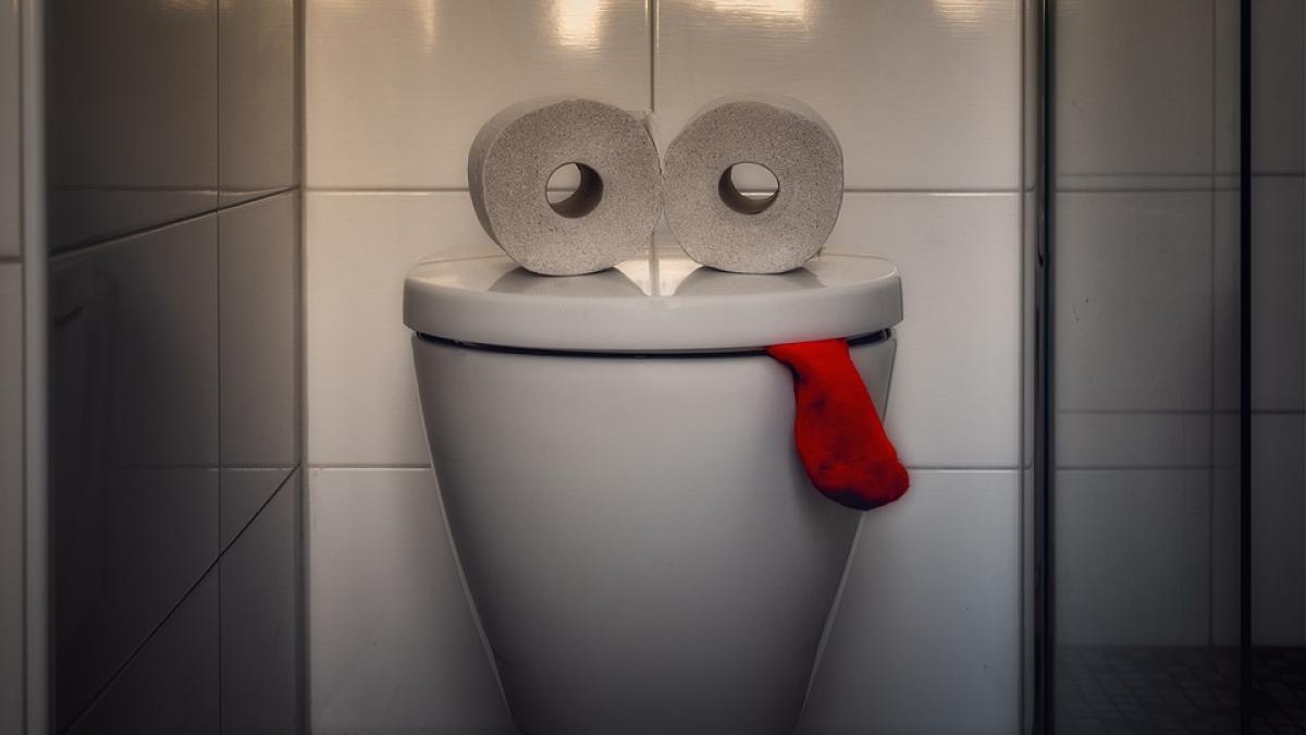 hartie-igienica-sinucidere_97010600