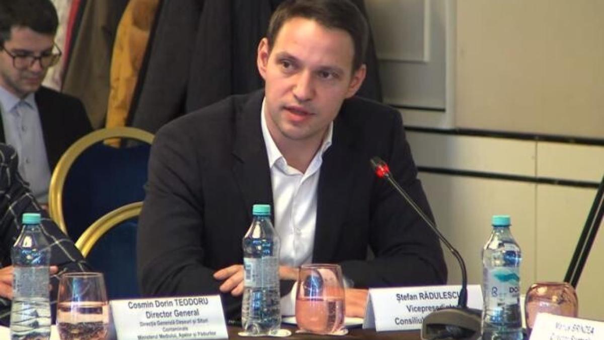 stefan-radulescu_04104800