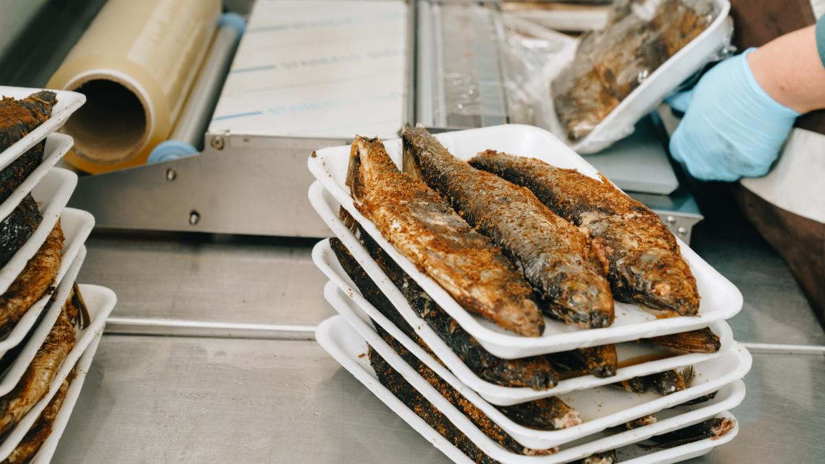 peste-contaminat_15860000