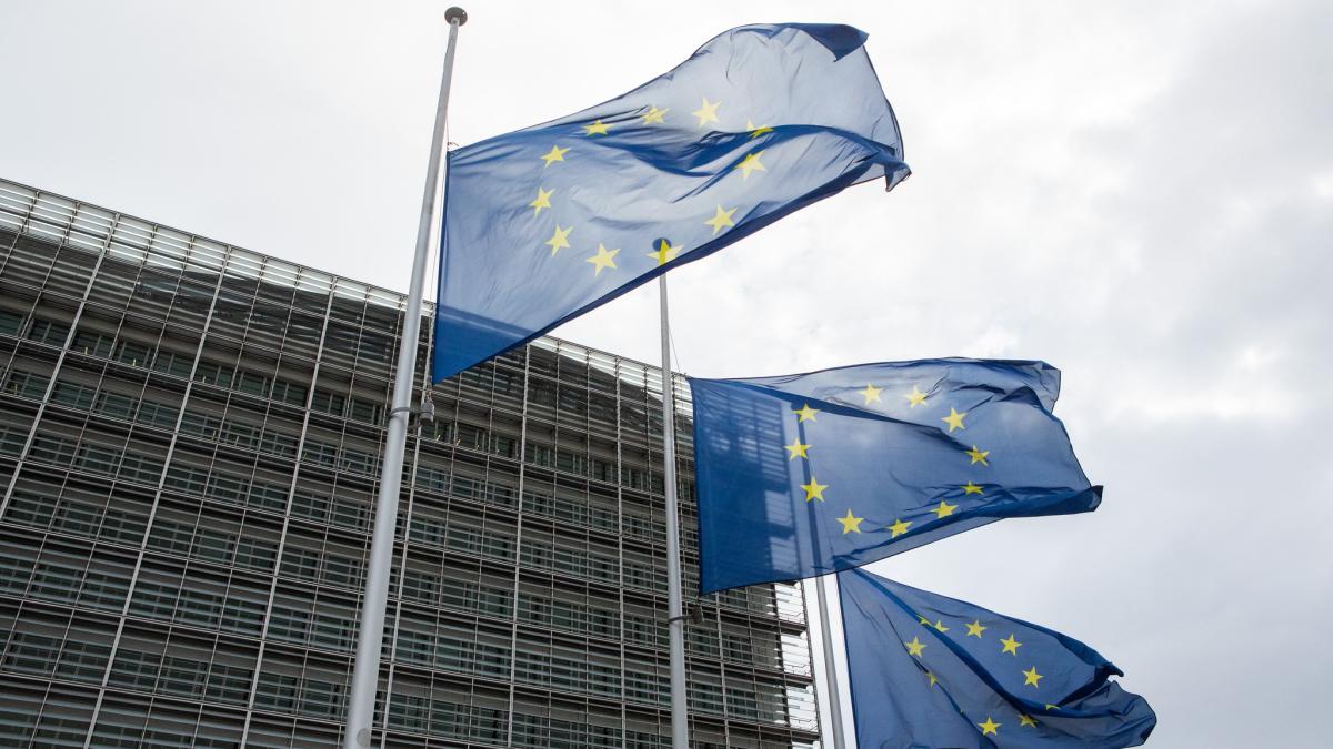 mcv_comisia_europeana_vasile_puscas_fb_25866300