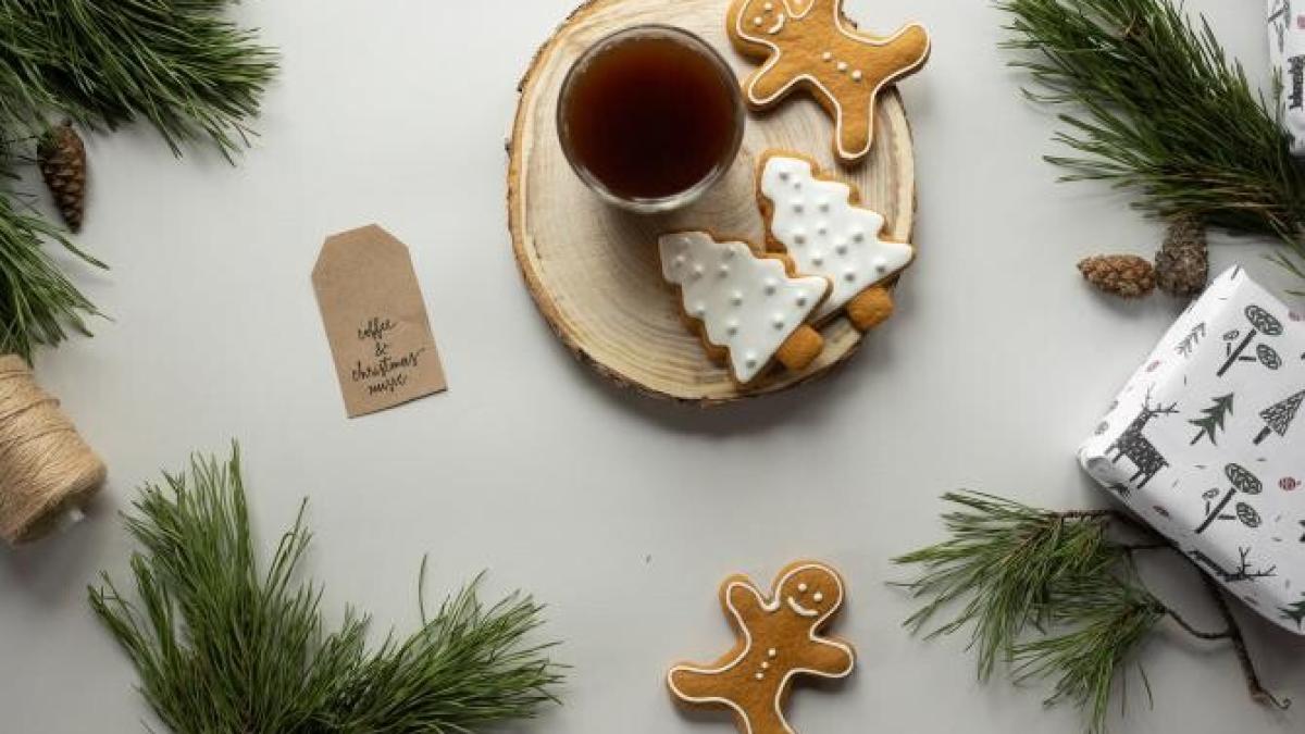 plante_craciun_foto_pexels_96595000